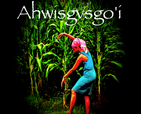 ahwisgvsgo'i